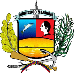 Escudo Mun Marcano